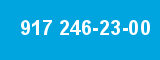 917 246-23-00